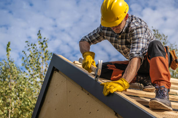 Best Roof Insulation Installation  in Auburn, GA